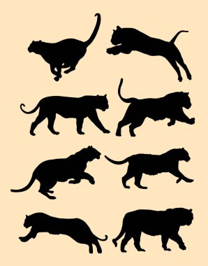 Kaplan siluet. Vektör, illüstrasyon. Sembol, logo, web simgesi, maskot, işaret veya herhangi bir tasarım için iyi kullanmak istiyorum.