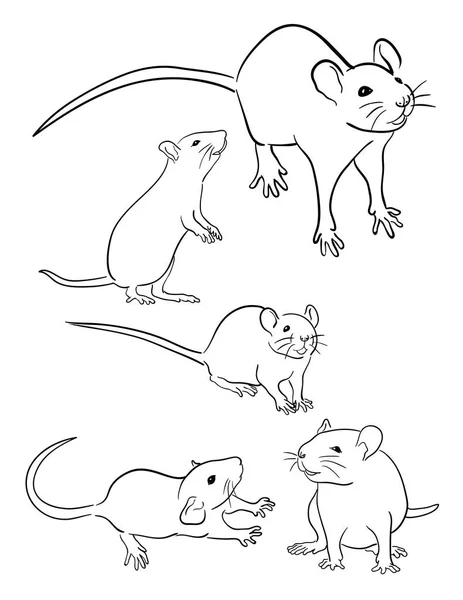 Mouse Line Art Vector Illustration Good Use Symbol Logo Web — Stock Vector