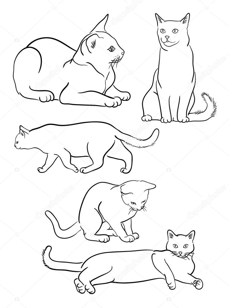 Cat line art 06. Vector, illustration. Good use for symbol, logo, web icon, mascot, sign, coloring, or any design you want.
