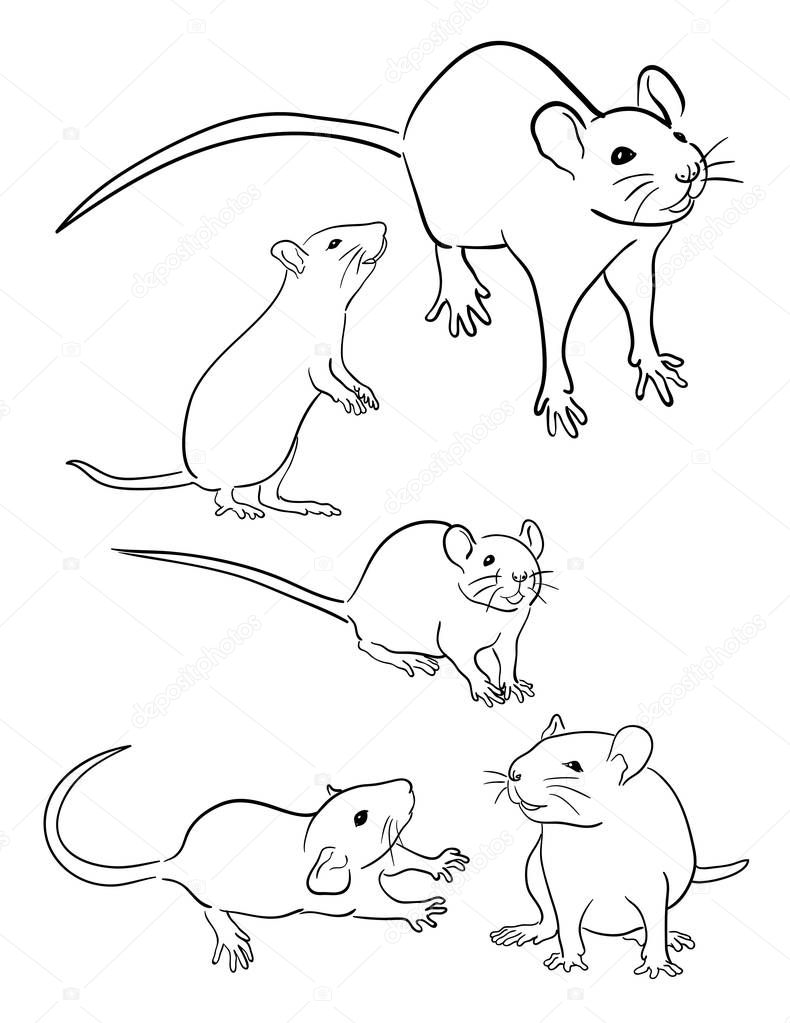 Mouse line art 03. Vector, illustration. Good use for symbol, logo, web icon, mascot, sign, coloring, or any design you want.