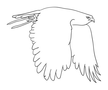 Hat sanatı 07 kartal. Sembol, logo, web simgesi, maskot, işaret, boyama veya istediğiniz herhangi bir tasarım için iyi kullanmak.