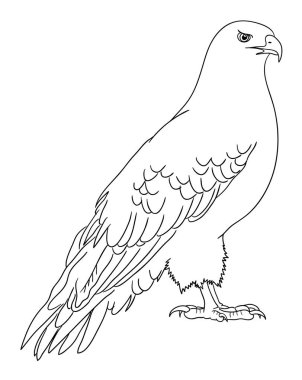 Hat sanatı 10 kartal. Sembol, logo, web simgesi, maskot, işaret, boyama veya istediğiniz herhangi bir tasarım için iyi kullanmak.