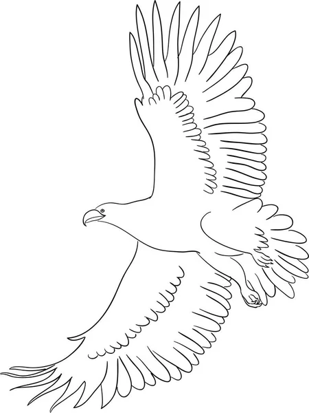 Eagle Line Art Хорошее Использование Символа Логотипа Веб Значка Талисмана — стоковый вектор