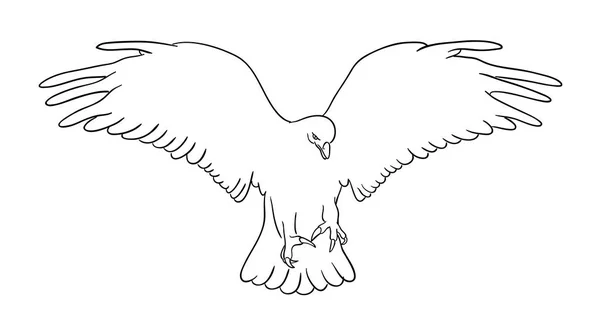 Eagle Line Art Хорошее Применение Символа Логотипа Веб Значка Талисмана — стоковый вектор