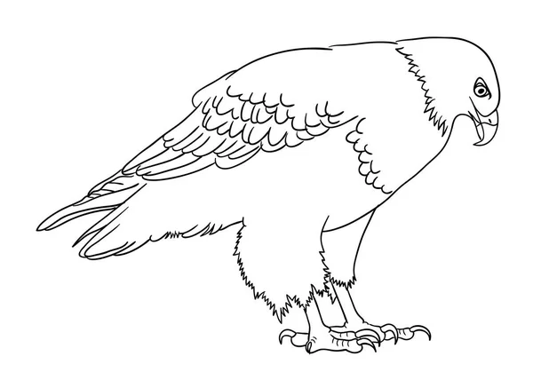 Eagle Vonalas Szimbólum Embléma Pókháló Ikon Kabala Jel Színezés Vagy — Stock Vector