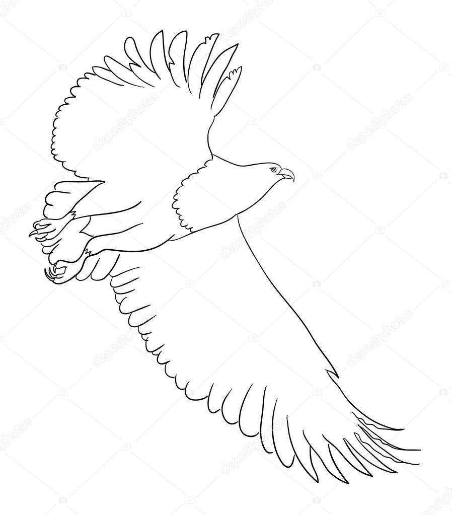Eagle line art 03. Good use for symbol, logo, web icon, mascot, coloring, sign, or any design you want.
