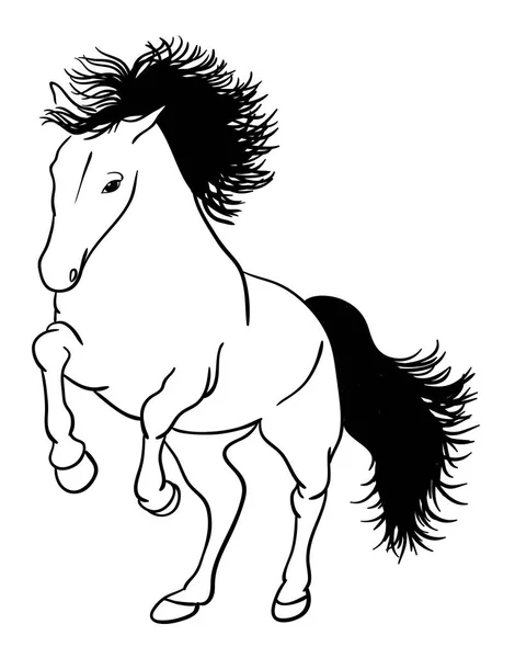 Arte Línea Caballo Buen Uso Para Símbolo Logotipo Icono Web — Vector de stock