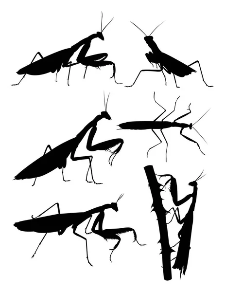 Oración Mantis Detalle Animal Silueta Vector Ilustración Buen Uso Para — Vector de stock