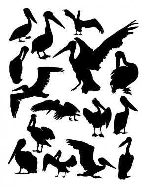 Pelikan hayvan siluet. Sembol, logo, web simgesi, maskot, işaret veya herhangi bir tasarım için iyi kullanmak istiyorum.