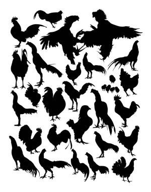 Tavuk ve horoz siluet. Sembol, logo, web simgesi, maskot, işaret veya herhangi bir tasarım için iyi kullanmak istiyorum.