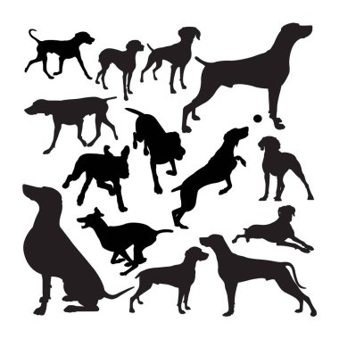 Weimaraner köpek hayvan siluetleri. Sembol, logo, web simgesi, maskot, işaret veya istediğiniz herhangi bir tasarım için iyi bir kullanım alanı.