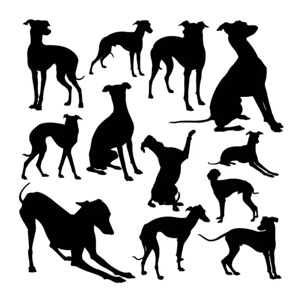 İtalyan tazı köpeği hayvan siluetleri. Sembol, logo, web simgesi, maskot, işaret veya istediğiniz herhangi bir tasarım için iyi bir kullanım alanı.