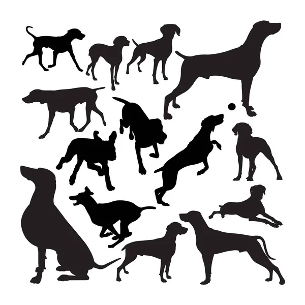 Silhouettes Pour Chien Weimaraner Bon Usage Pour Symbole Logo Icône — Image vectorielle