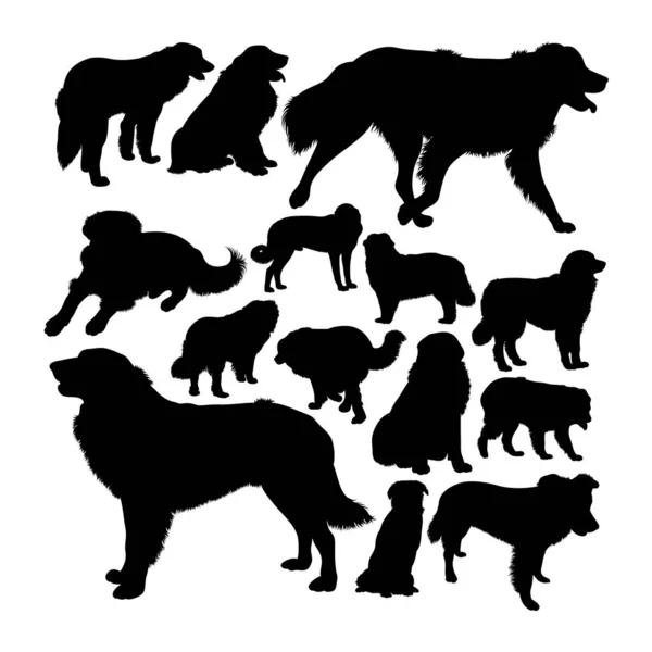 Silhouettes Chien Montagne Estrela Bon Usage Pour Symbole Logo Icône — Image vectorielle