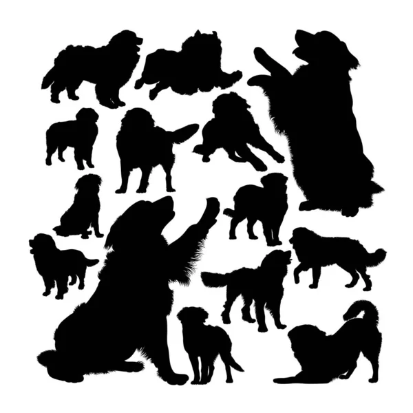Bernese dağ köpeği siluetleri. Sembol, logo, web simgesi, maskot, işaret veya istediğiniz herhangi bir tasarım için iyi bir kullanım alanı.