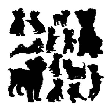 Yorkshire Terrier köpek hayvan siluetleri. Sembol, logo web simgesi, maskot, işaret veya istediğiniz herhangi bir tasarım için iyi bir kullanım.
