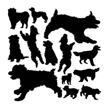 Pyrenean çoban köpeği siluetleri. Sembol, logo, web simgesi, maskot, işaret veya istediğiniz herhangi bir tasarım için iyi bir kullanım alanı.