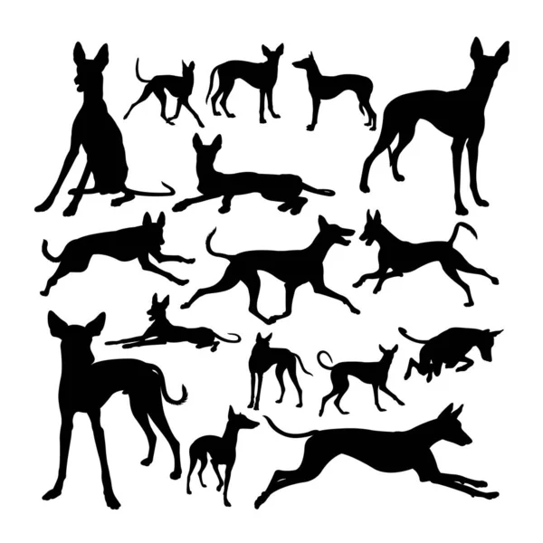 Ibizan Hond Hond Dier Silhouetten Goed Gebruik Voor Symbool Logo — Stockvector