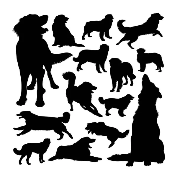 Hovawart Siluetas Animales Perro Buen Uso Para Símbolo Logotipo Icono — Vector de stock