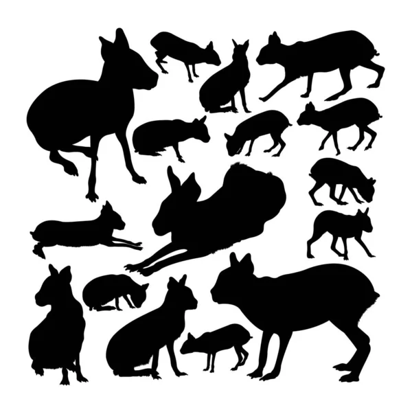 Silhouette Animali Mara Patagonica Buon Uso Simbolo Logo Icona Web — Vettoriale Stock