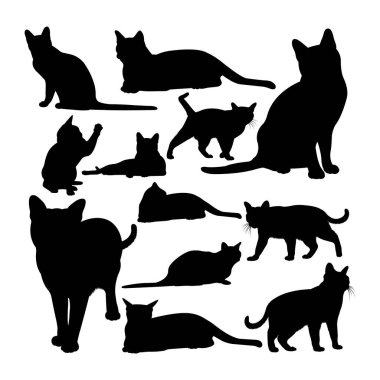 Korat kedi hayvan siluetleri. Sembol, logo, web simgesi, maskot, işaret veya istediğiniz herhangi bir tasarım için iyi bir kullanım alanı.