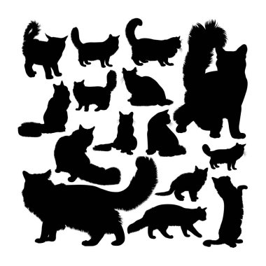 Maine Rakun Kedi Hayvan Siluetleri. Sembol, logo, web simgesi, maskot, işaret veya istediğiniz herhangi bir tasarım için iyi bir kullanım alanı.