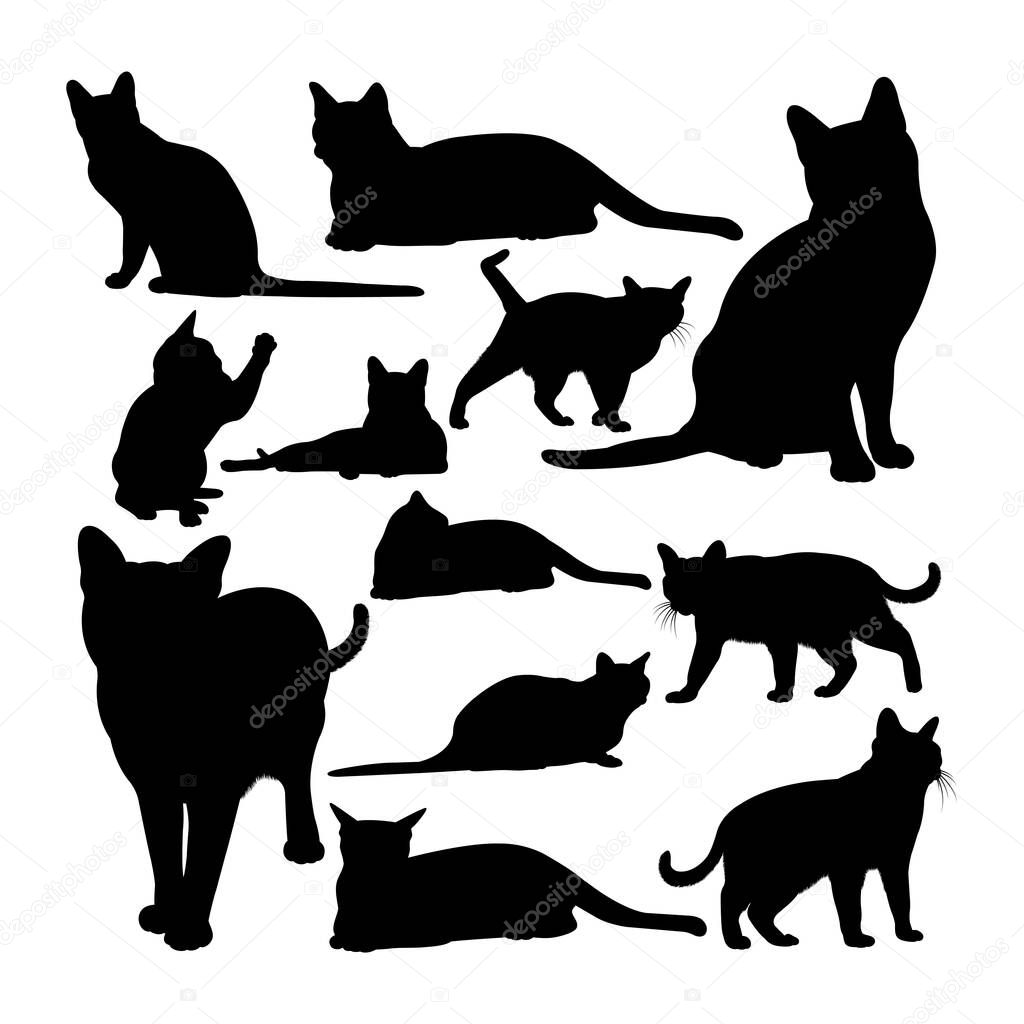 Korat cat animal silhouettes. Good use for symbol, logo, web icon, mascot, sign, or any design you want.