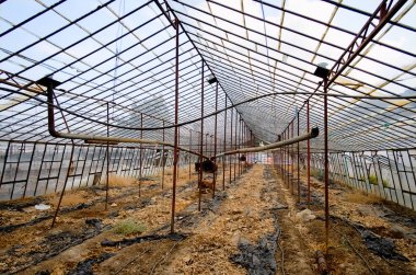 Terk edilmiş eski bir sera. Türkiye.