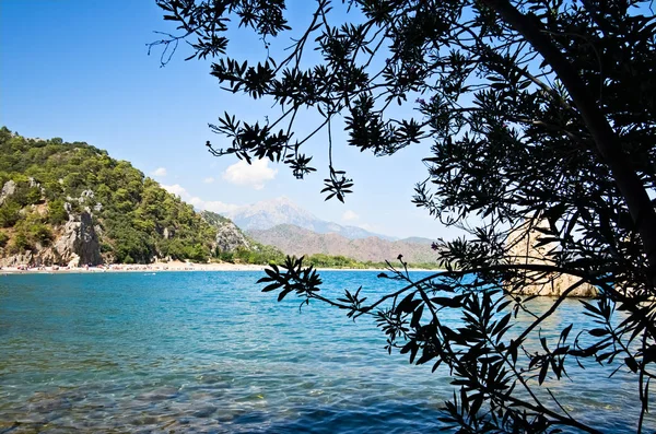 Blue clear water of Cirali beach in Turkey. Leaves silhouettes and mountains range on background. Clear blue sky. Antalya, province.