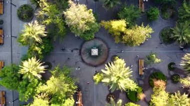 İHA 'dan Plaza de Armas hava görüntüsü. Şehir meydanının kuş bakışı manzarası, çeşme, uçan kuş sürüsü ve palmiye ağaçlarının altındaki halka açık parkta yürüyen insanlar. Yukarıdan bak. Santiago, Şili.