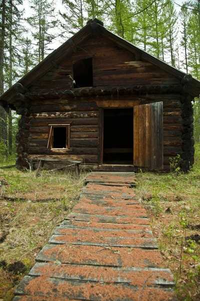 Starý Dřevěný Dům Lese Stock Obrázky