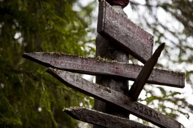 Ormanın içinde yön göstergesi