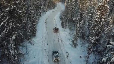 İHA. Kış ormanında toprak yol.