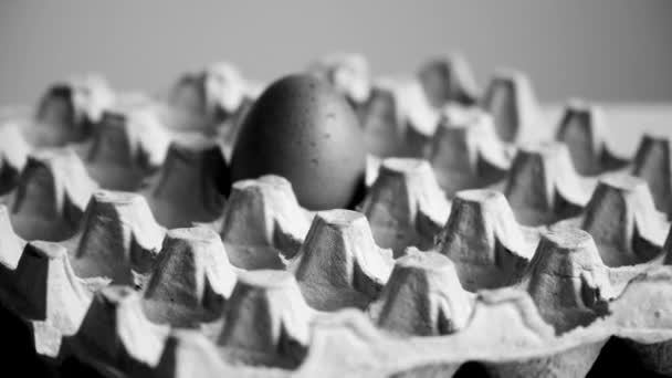 Куряче Яйце Картонній Касеті — стокове відео