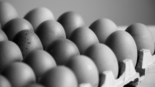 段ボールの中の鶏の卵 — ストック動画