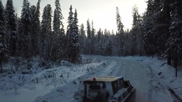 ドローンだ 冬の森の未舗装道路 — ストック動画