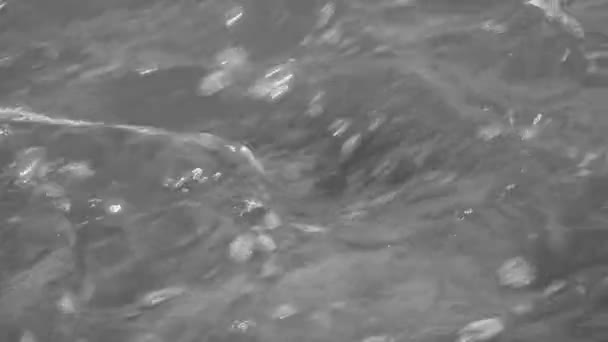 Suyun Hızlı Akışı Güçlü Akım — Stok video