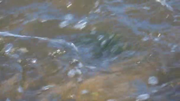 Flujo Rápido Agua Fuerte Corriente — Vídeo de stock