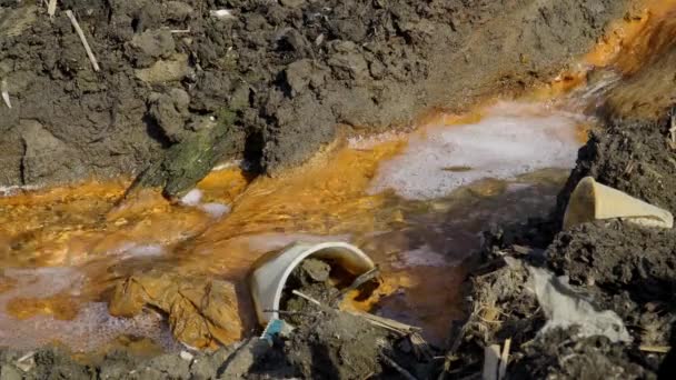 Desastre Ecológico Rio Fauna Morta — Vídeo de Stock