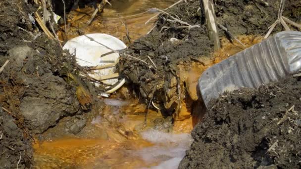 Desastre Ecológico Rio Fauna Morta — Vídeo de Stock