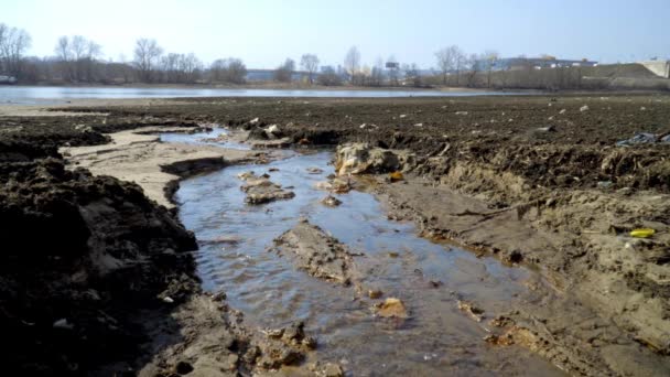 Disastro Ecologico Sul Fiume Fauna Morta — Video Stock