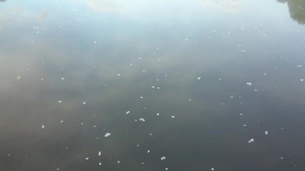 Przelot Nad Rzeką Mgła Nad Wodą — Wideo stockowe