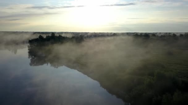 Przelot Nad Rzeką Mgła Nad Wodą — Wideo stockowe