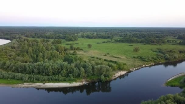 Lot Nad Lasem Przelot Nad Rzeką Panorama Równiny — Wideo stockowe