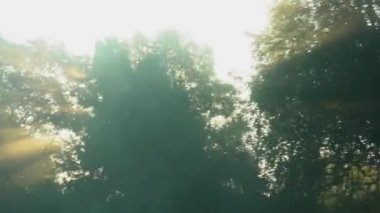 Nehirde gün doğumu. Sabah sisi