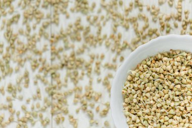 Yeşil buğday filizi. Açık renkli