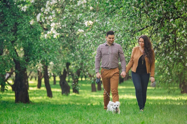 Joven Pareja Feliz Con Estilo Amor Jugando Con Perrito Blanco — Foto de Stock