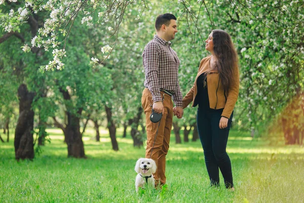 Mladé Stylové Šťastný Pár Lásce Hraje Malým Bílým Psem Kvetoucí — Stock fotografie