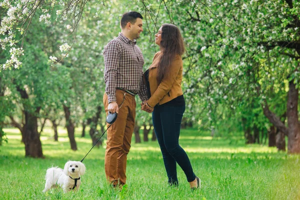 Fiatal Stílusos Boldog Pár Szerelmes Játszó Kis Fehér Kutya Virágzó — Stock Fotó