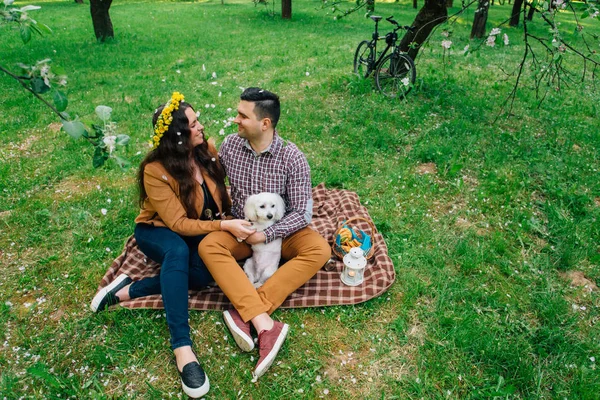 恋咲く庭と後ろに自転車でピクニックを持つかわいい犬に若いスタイリッシュな幸せなカップル タンポポとマルタとの楽しみを持っている人の花輪を持つ美少女 — ストック写真